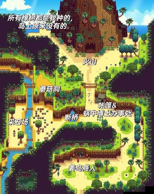 姜太公的小岛，玩家深度解析四神兽看法并探讨资源管理策略