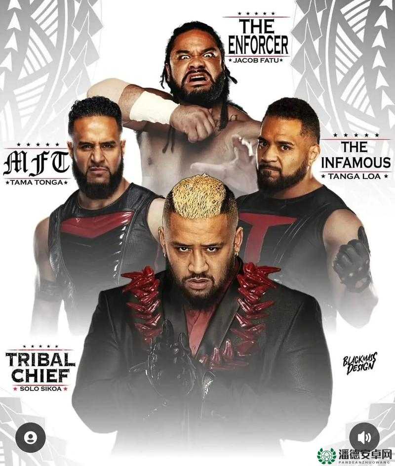 WWE游戏深度攻略，助力玩家实现从新手到高手的华丽蜕变之旅