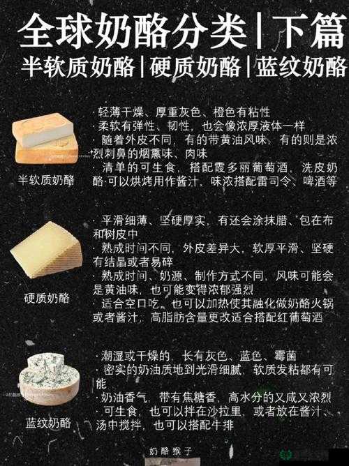 奶酪塔玩法深度解析与攻略指南，智慧与策略并重，解锁无限乐趣之旅