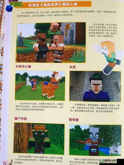 边境之门奥义书，深度解析，掌握解锁游戏深层奥秘的终极钥匙