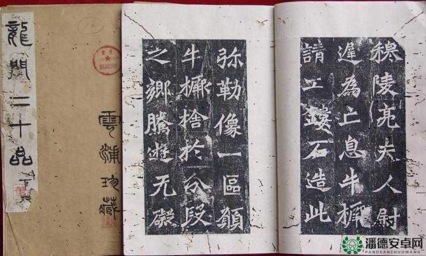 龙门飞甲石碑诗句启示，探索资源管理中的古老智慧与现代应用之光
