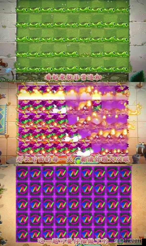 植物大战僵尸游戏攻略，全面搜集植物与小白通关技巧的深度剖析
