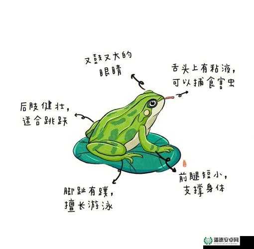 三位一体2游戏攻略，大青蛙关卡详细过关方法与技巧解析