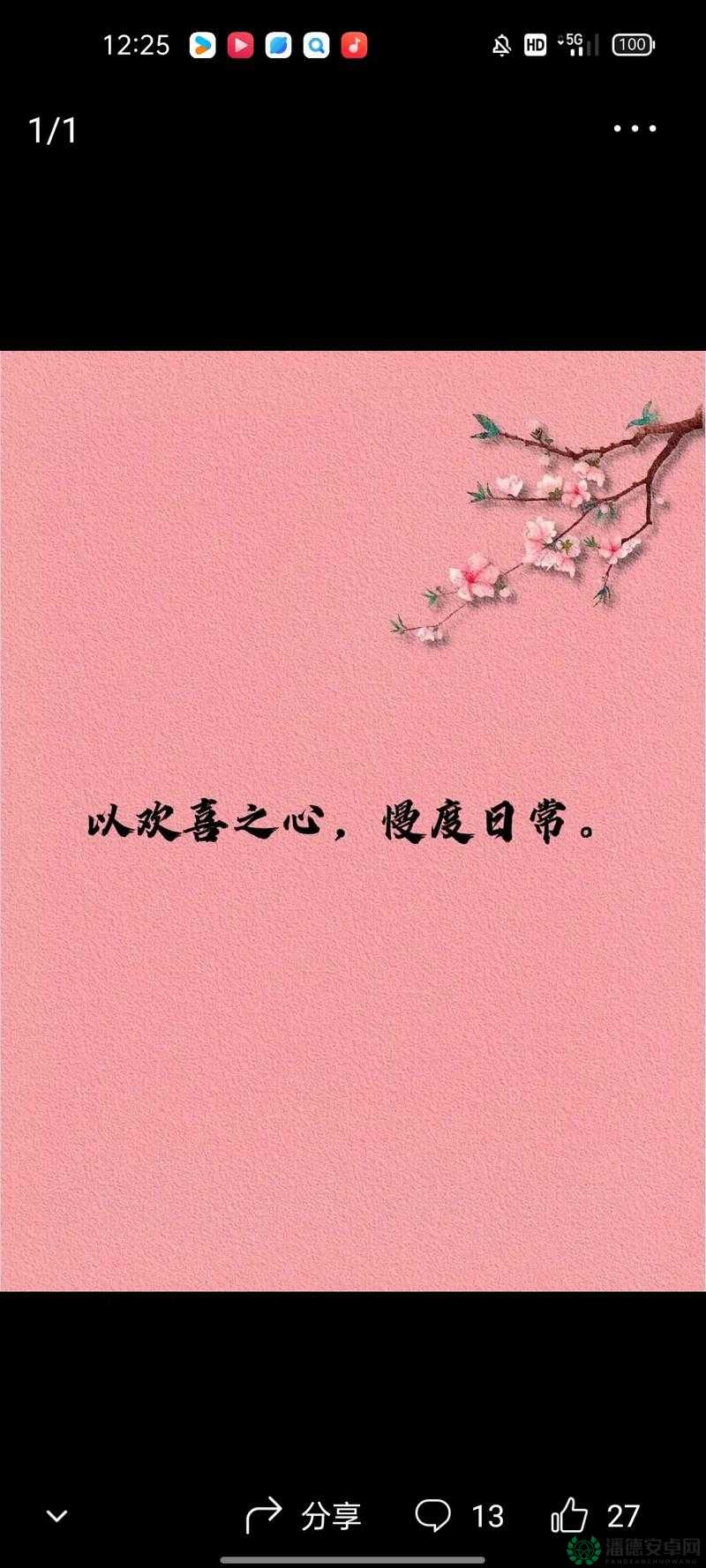 岁岁有今朝 po 茶茶好：愿未来的日子更加美好灿烂