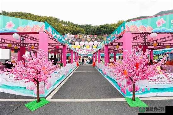 桃花社区在线观看完整版内容丰富：众多精彩元素等你来发现