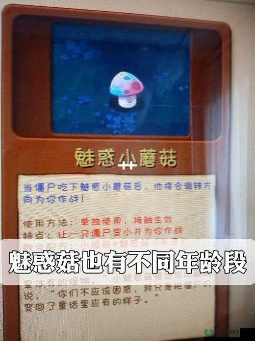 蘑菇黑料爆料事件视频：深挖背后的秘密真相