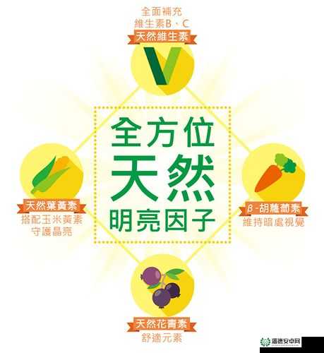 蓝莓社区福利导航：畅享全方位优质福利信息指南