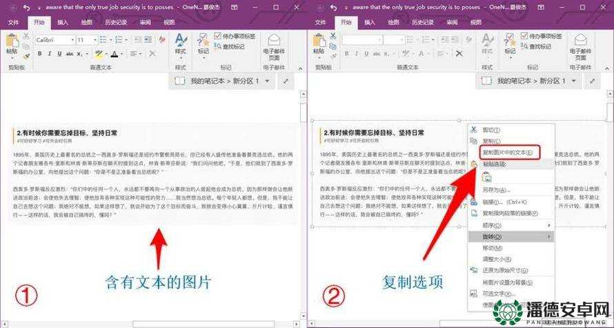 Word文档中图片的高效导出技巧与多种方法全面汇总