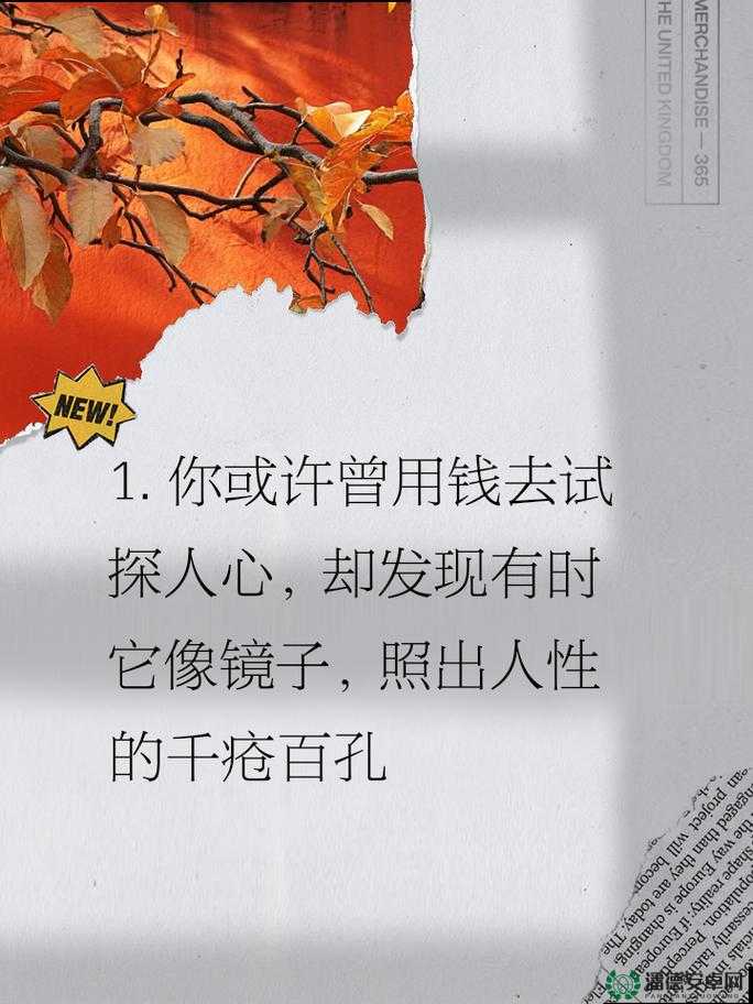 对镜子看我们的结合处：窥探人性的深渊