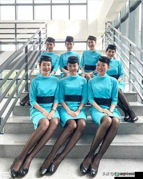 美丽空姐：wwWxxx69 的空中风采