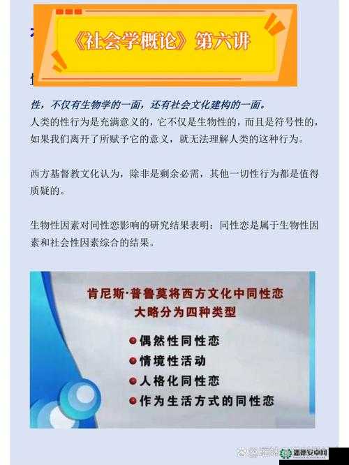美国的忌讳 14 背后的文化现象与社会影响分析