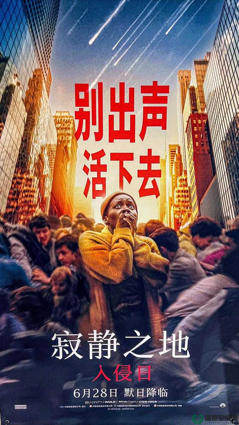 高清 DVD 碟片播放：畅享极致视听盛宴