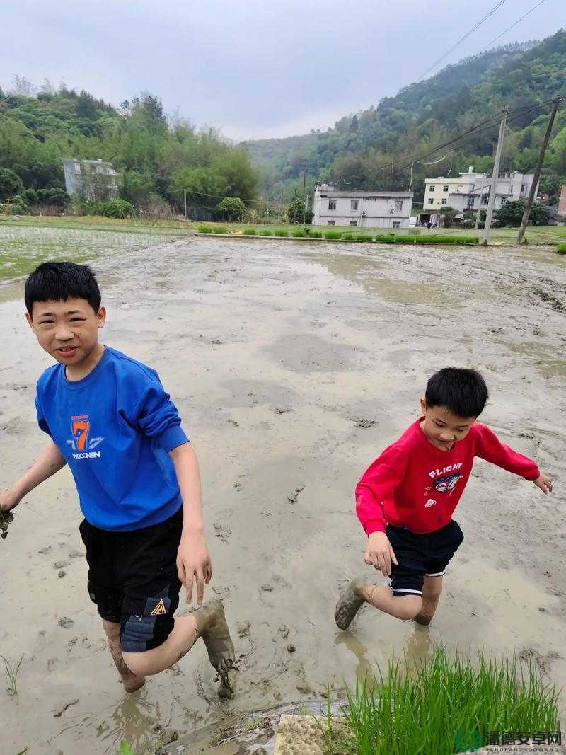 情侣的 100 种插秧方法：探索独特浪漫的农耕爱情体验