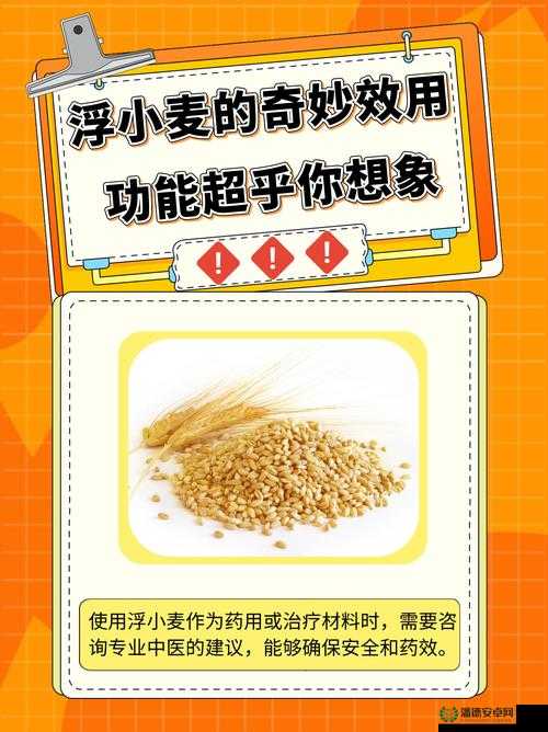 药效1V2H：一次奇妙的药效体验，两位主角的激情碰撞