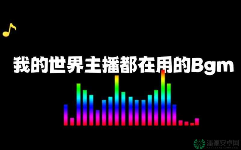 bgmbgmbgm 毛多多：带你走进独特的音乐世界之旅
