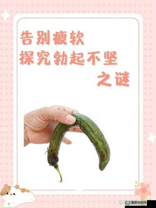 鸡鸡爱逼逼：探讨其背后的独特现象与意义