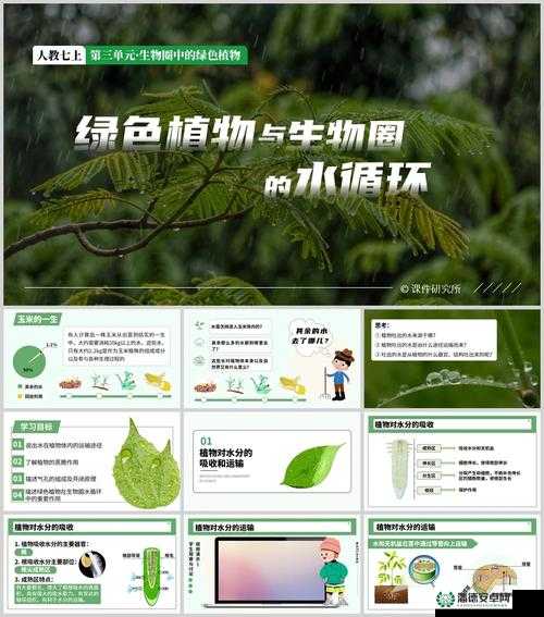 绿色循环圈TD9.73，探索单人守家艺术，展现策略与技巧的极致融合