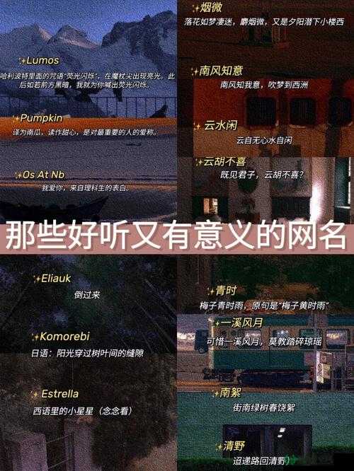 8x8x.io最新地域网名是啥:探寻其背后的独特含义与文化影响