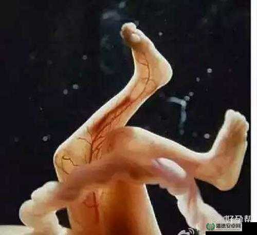 麻麻太深，拔出来时的痛与太舒服的奇妙感受
