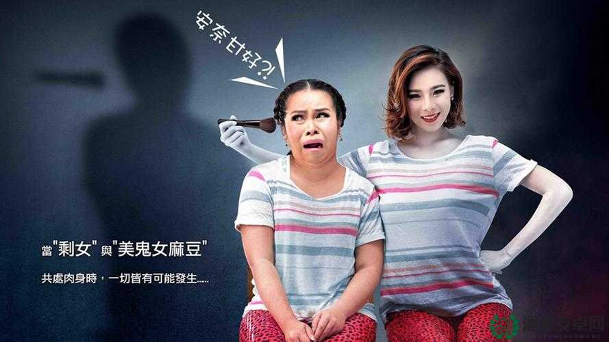 麻豆专媒体一区二区：相关内容介绍及特点分析