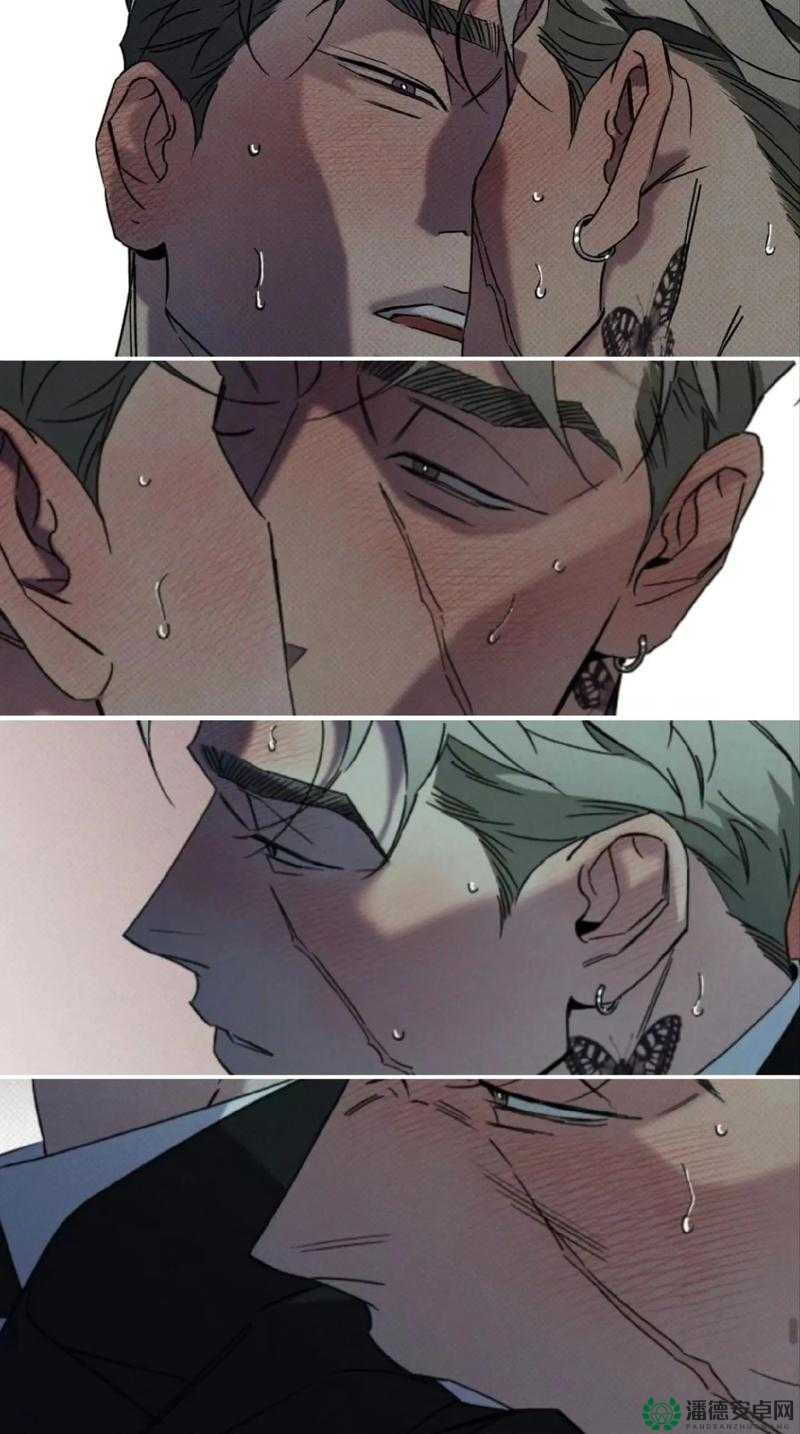 车速超快的双男主：激情燃烧的速度与激情