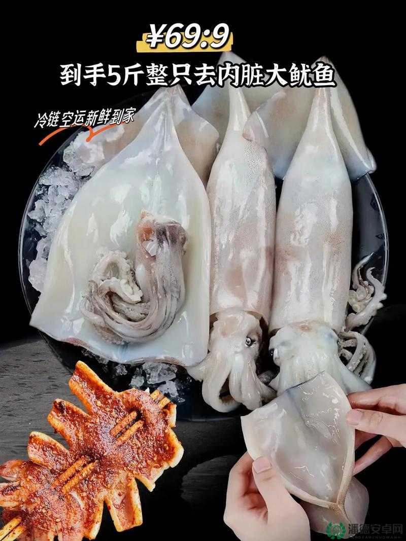 鱿鱼视频在线观看免费最新：海量精彩视频资源等你来探索