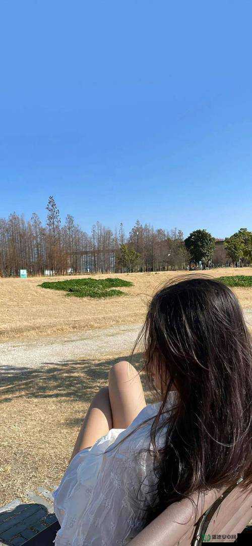 美女隐私秘密 18 禁视频网站：点击进入，一探私密世界