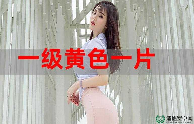 黄色 B 片：一部引人入胜的独特视觉盛宴