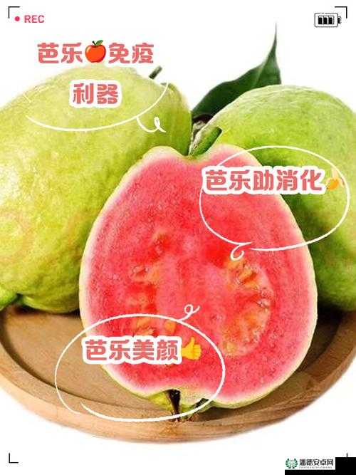芭乐丝瓜黄瓜绿榴莲最新版：带你体验不一样的蔬果世界