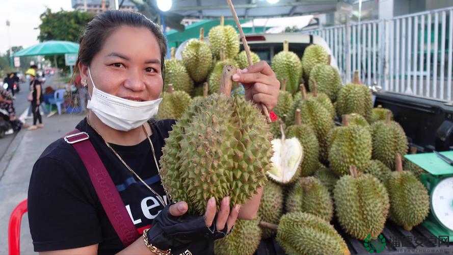 榴莲视频网站：畅享海量精彩视频资源不容错过