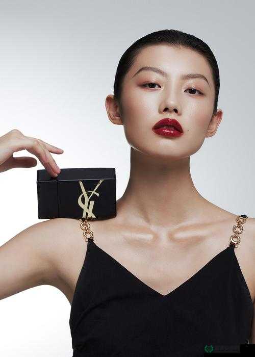ysl 千人千色 ae68：展现独特魅力与时尚风格的美妆精品
