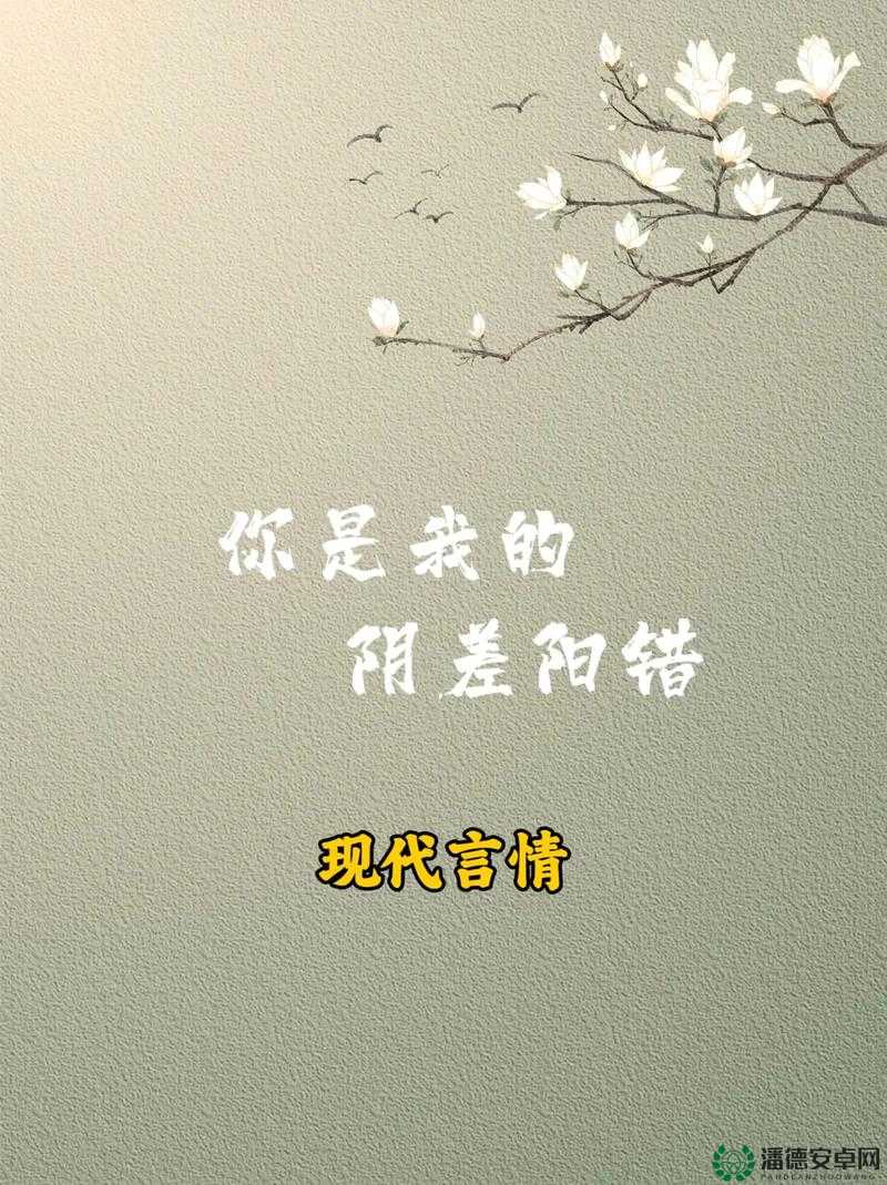 阴差阳错 1∨1 宋衿：一场奇妙命运的交织与纠葛