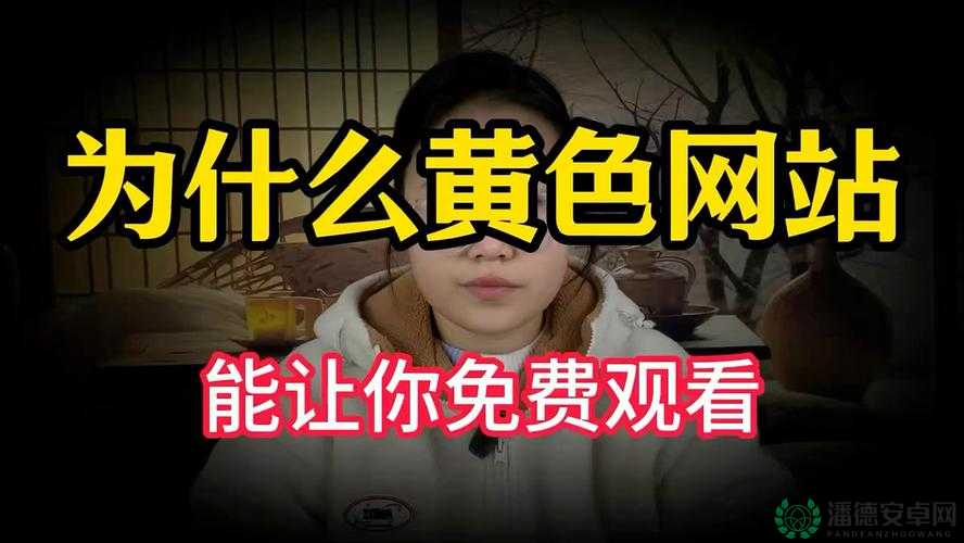 黄色 av 网站：探索无尽激情与刺激的奇妙世界