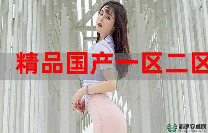 精产国品一二三产品在哪买：探寻其购买渠道与相关信息
