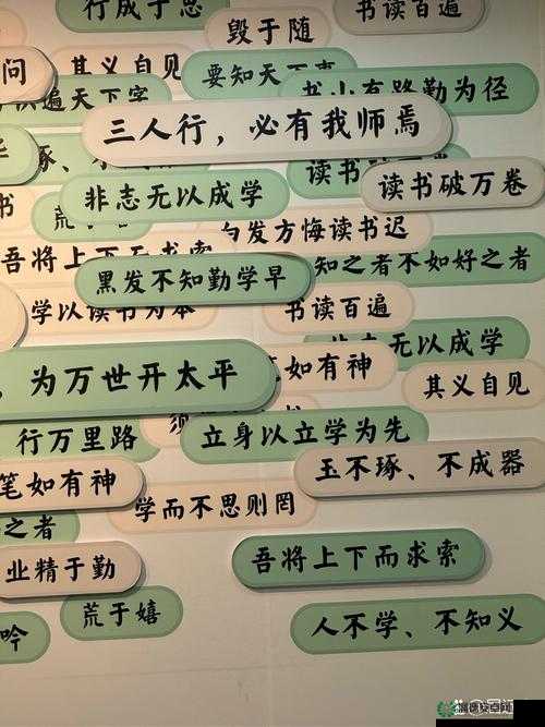 铜铜钢铿锵锵锵锵锵锵好多少阅读：探寻阅读的魅力与价值