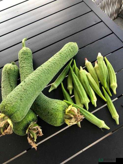 草莓樱桃丝瓜秋葵榴莲黄瓜大全：丰富蔬果的详细介绍与品鉴