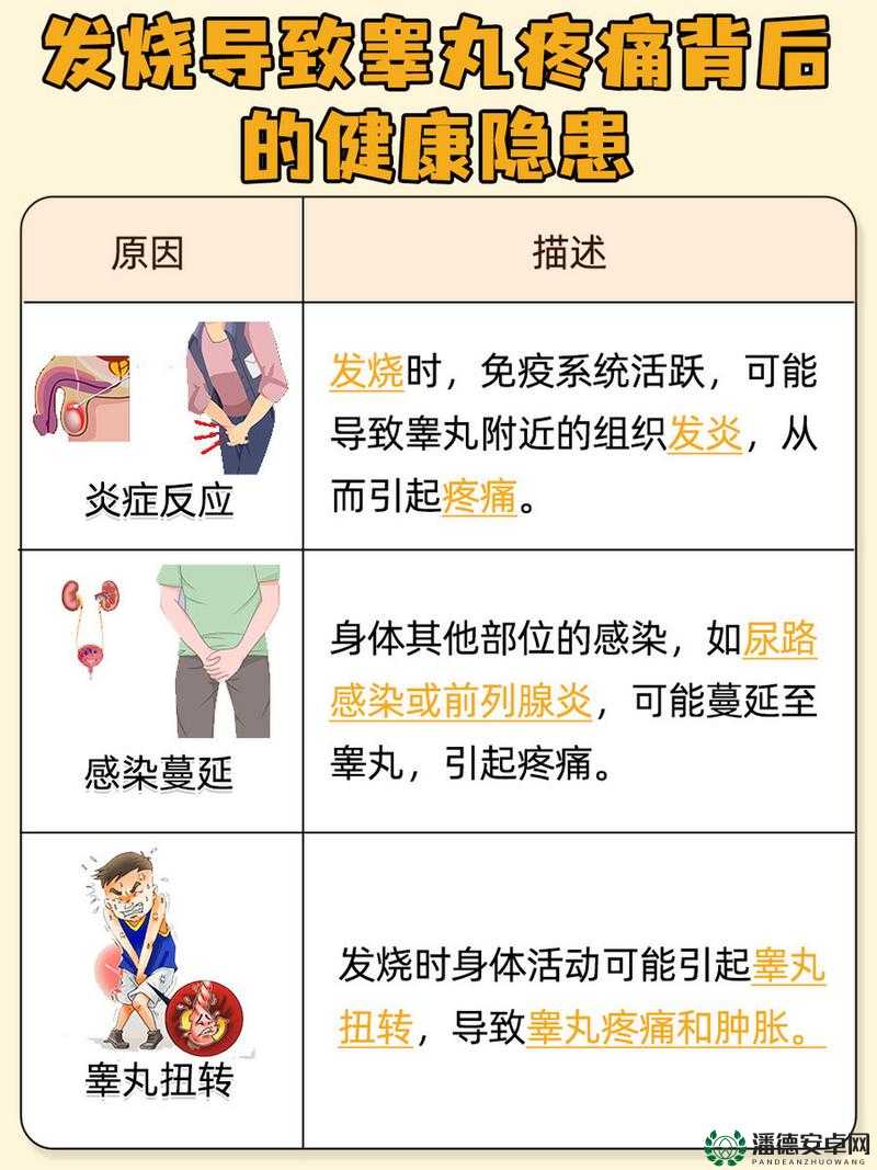男性睾丸瘙痒的原因：是正常生理反应还是疾病信号？