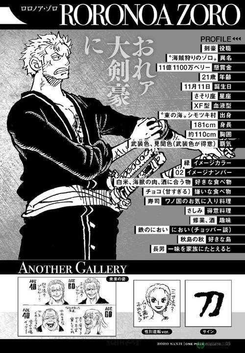 海贼王顶端世界0.64版，揭秘隐藏英雄密码与资源管理艺术攻略