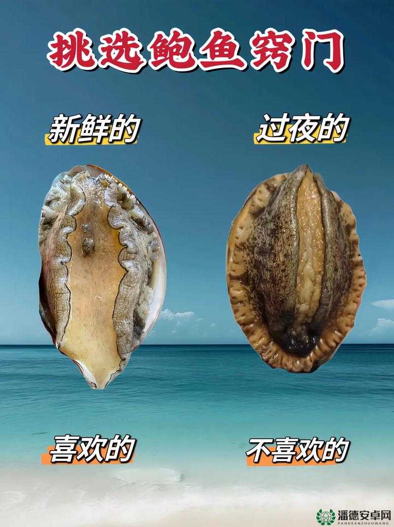 如何挑选：如何挑选鲍鱼？