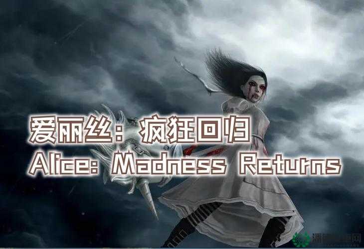 爱丽丝疯狂回归，全面掌握飞翔技巧与秘籍指南