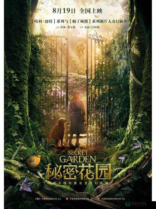 91 网：探寻成人世界的私密花园