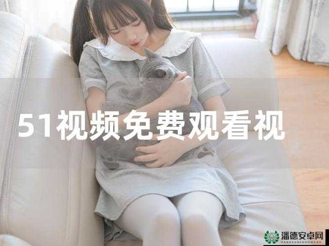 12Av 视频天堂：畅享海量精彩视频资源