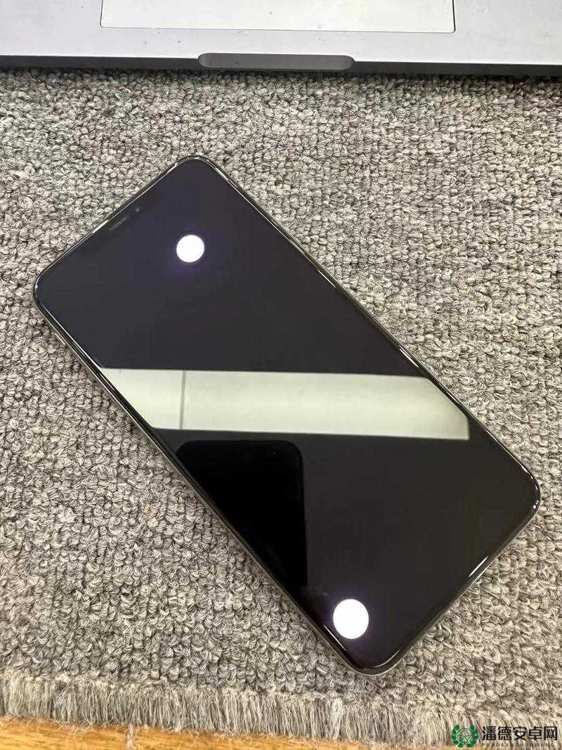 iPhoneXSMax欧美高级主播互曝猛料：背后隐藏的惊人真相与秘密