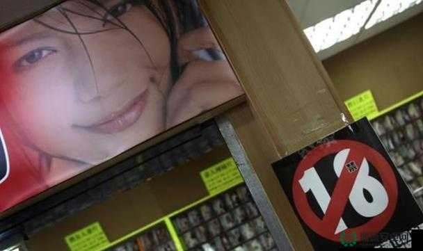 黄色仓库 AV ：探索其独特魅力与奥秘
