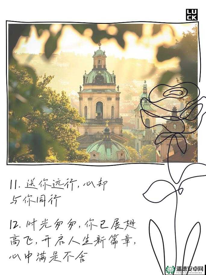 海角妈妈：用爱与坚持书写不平凡的育儿篇章