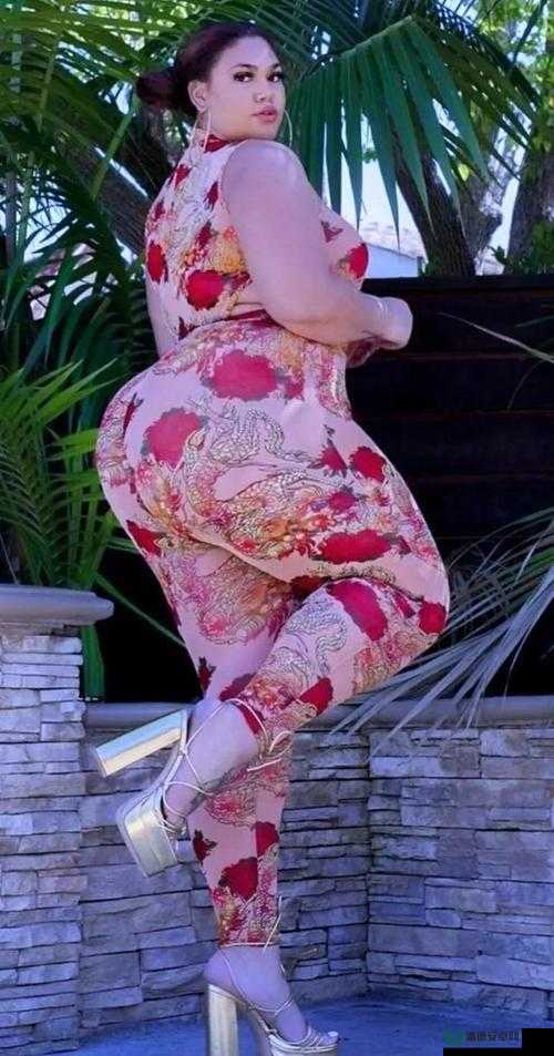 欧美老妇胖老太性多毛：探索未知的性世界
