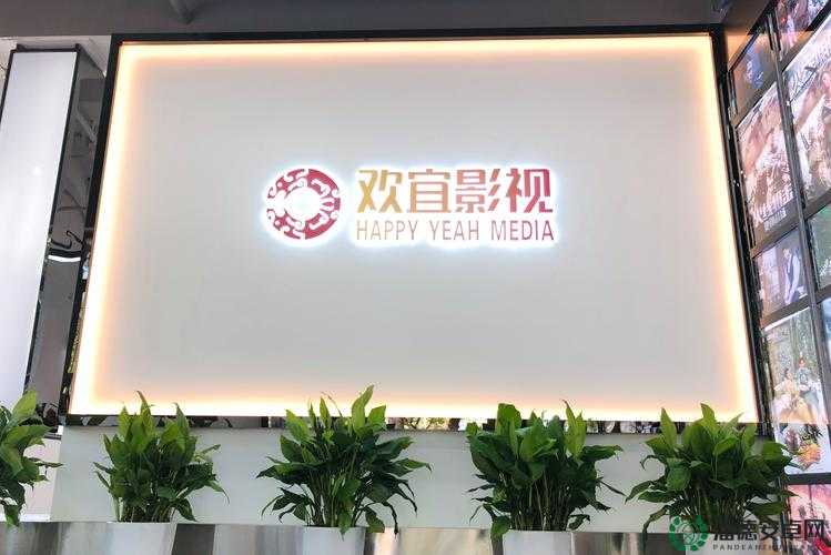 麻花影视文化传媒制作公司：打造优质影视内容的先锋力量