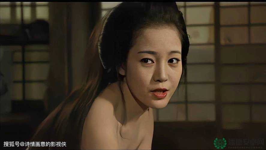 日本 HD 带来的独特影视观赏体验
