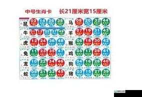 国内卡一卡二卡三网站 2024：全新的数字内容平台