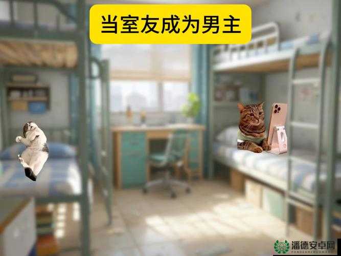 解锁室友的 N 种方式：探索与室友和谐共处的多元途径